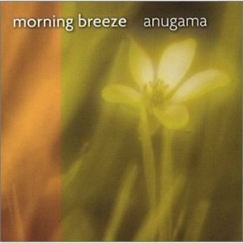 موسیقی آرامش بخش Morning Glory از Anugama